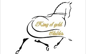 King Of Gold Stables Appartement Met Stalling Voor 5 Paarden